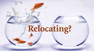 Relocation Real Estate Career